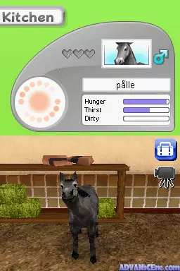 Image n° 3 - screenshots : Petz - My Horse Family